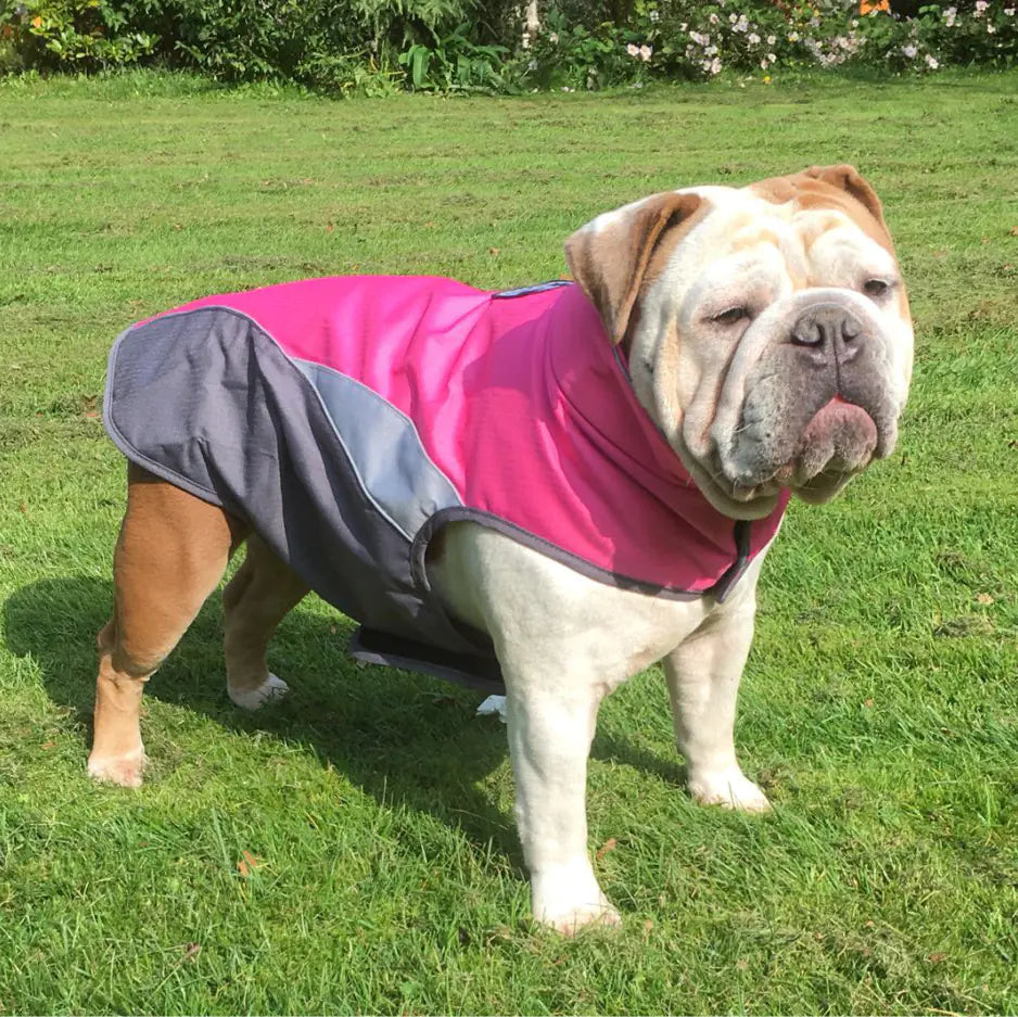 Impermeable para Mascotas al Aire Libre y Chaqueta Aislante